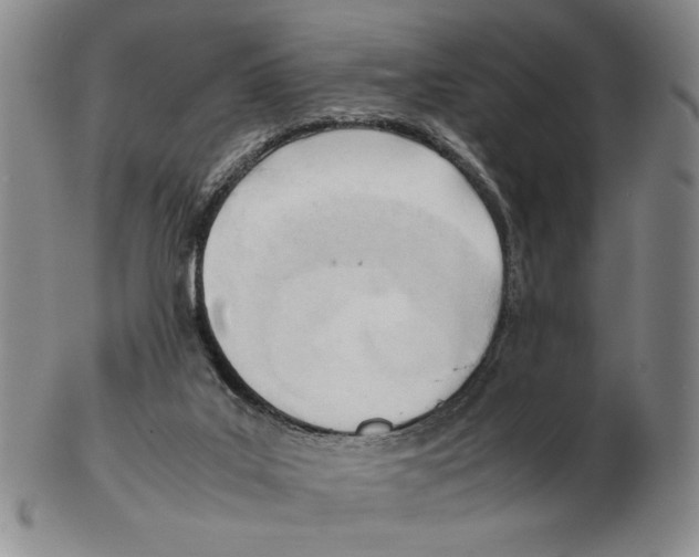 X0000102760019200809151026