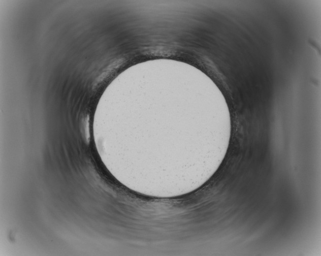 X0000102760020200809151026