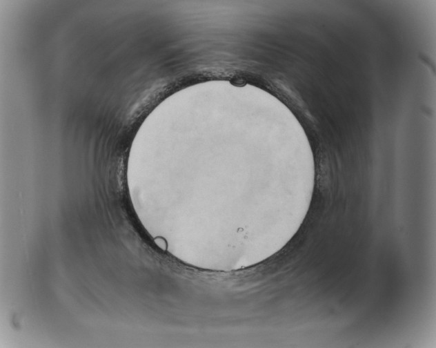 X0000102760023200809151026