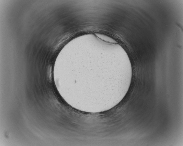 X0000102760024200809151026