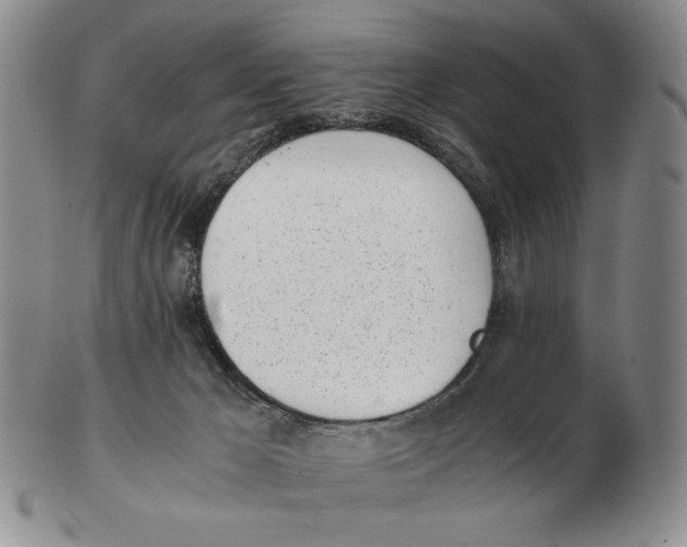 X0000102760029200809151026