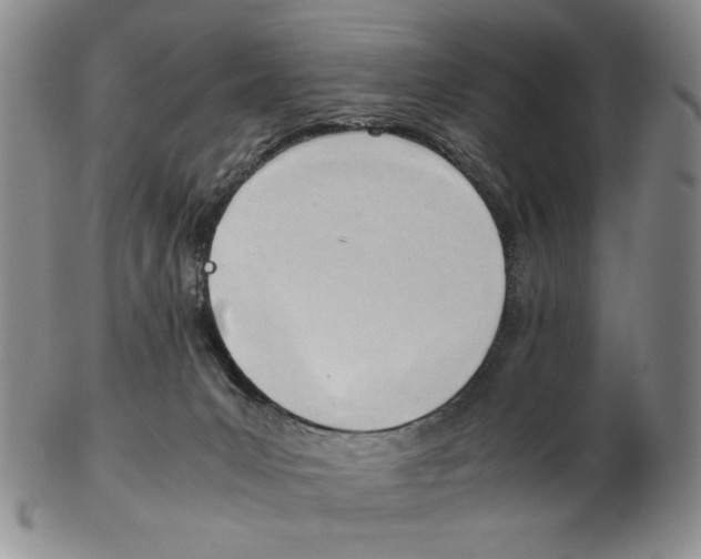 X0000102760031200809151026