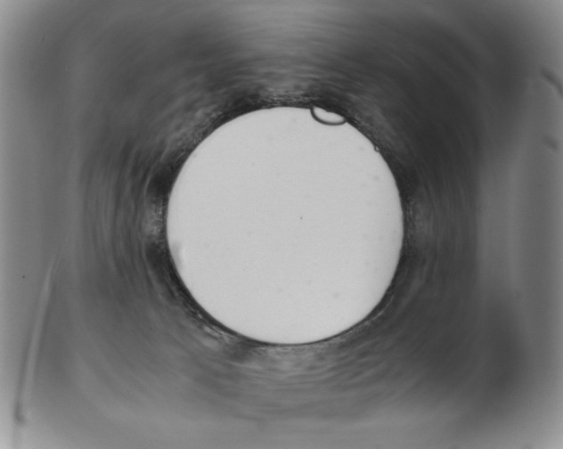 X0000102760033200809151026
