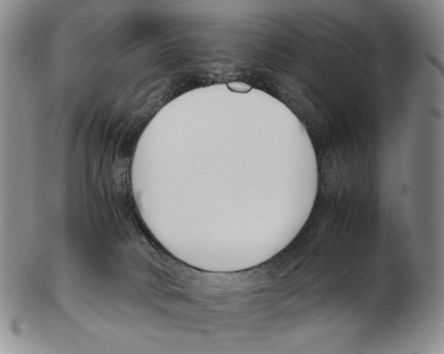 X0000102760034200809151026