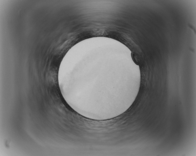 X0000102760035200809151025