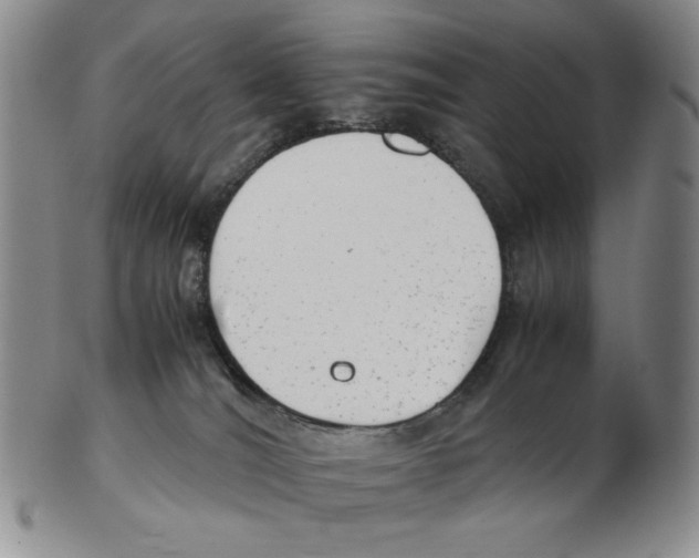 X0000102760036200809151025