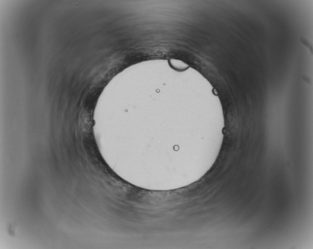 X0000102760037200809151025