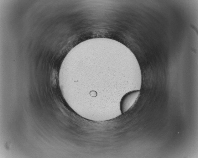 X0000102760038200809151025