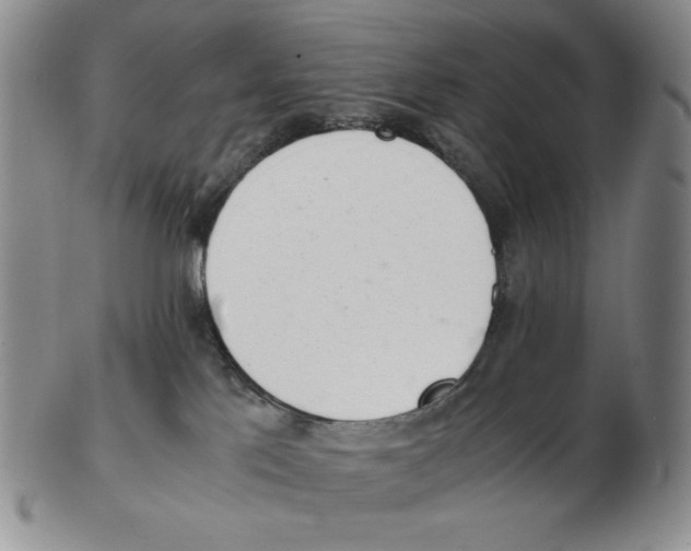 X0000102760041200809151025
