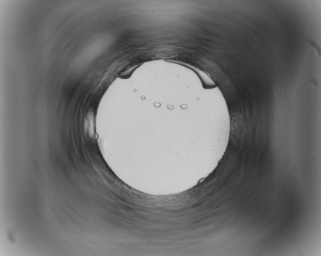 X0000102760046200809151025