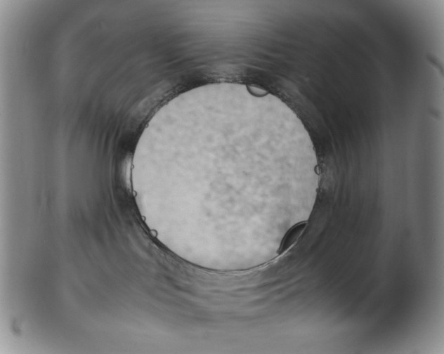 X0000102760047200809151025