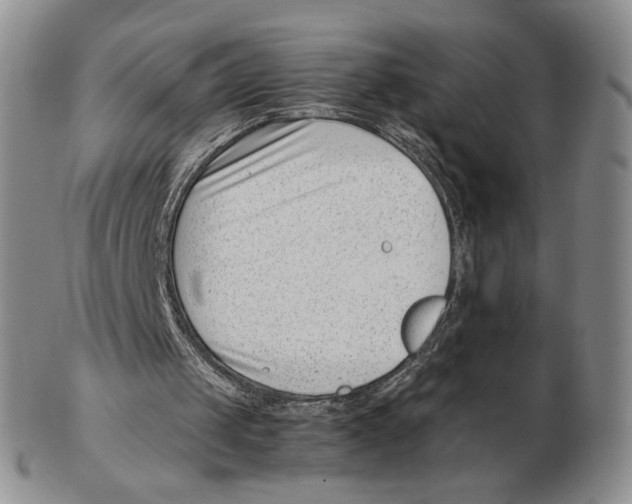 X0000102760049200809151024
