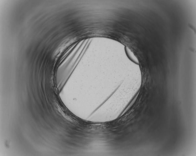 X0000102760050200809151024