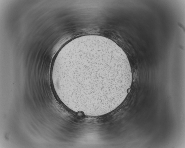 X0000102760052200809151025