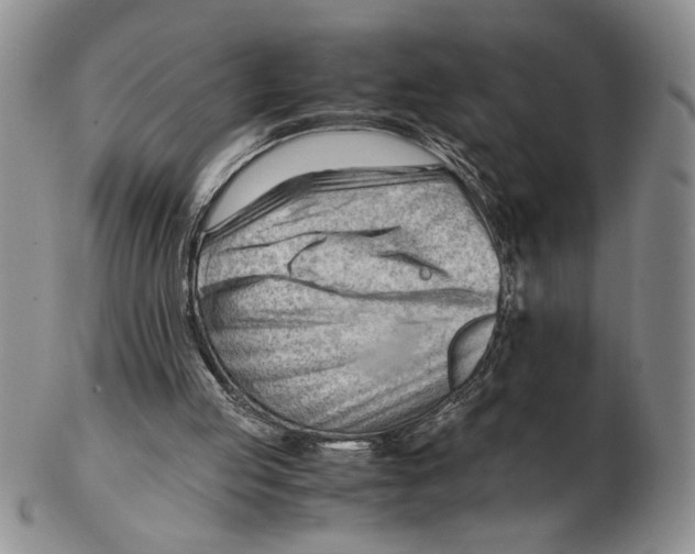 X0000102760053200809151025