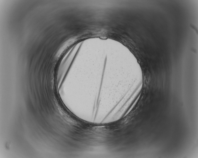 X0000102760054200809151025