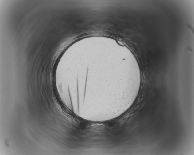 X0000102760055200809151025
