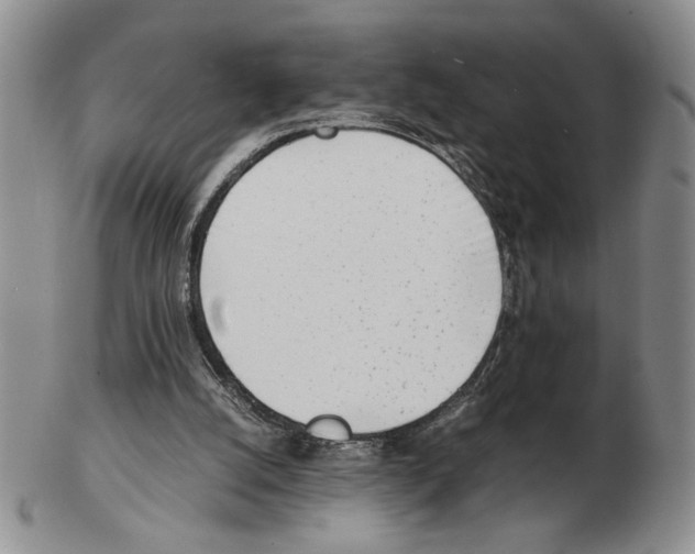 X0000102760056200809151025