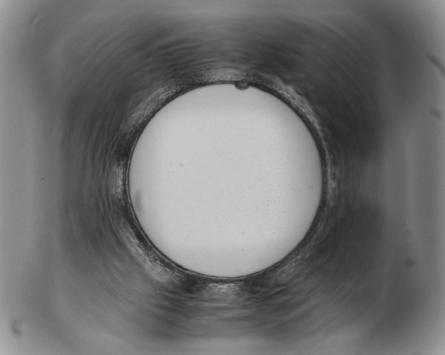 X0000102760057200809151025