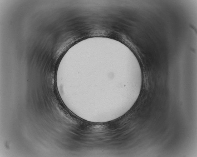 X0000102760059200809151025