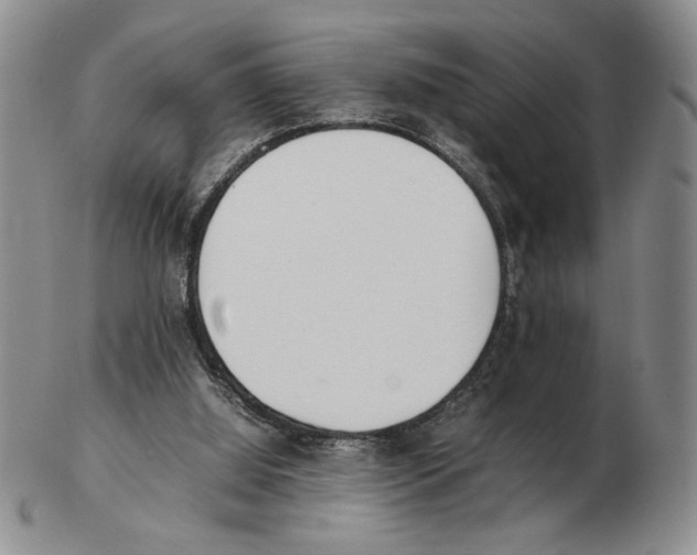 X0000102760060200809151025