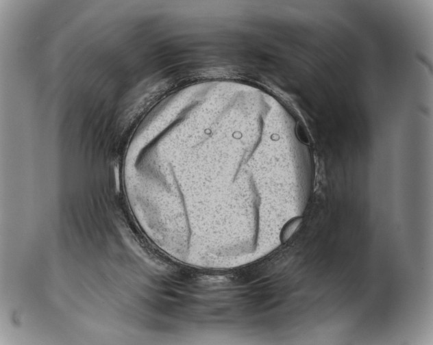 X0000102760061200809151025