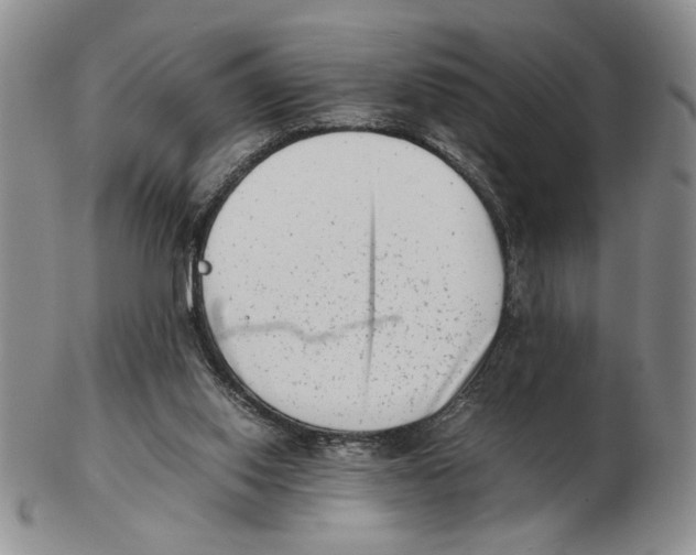 X0000102760062200809151025