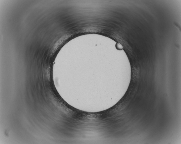 X0000102760064200809151025