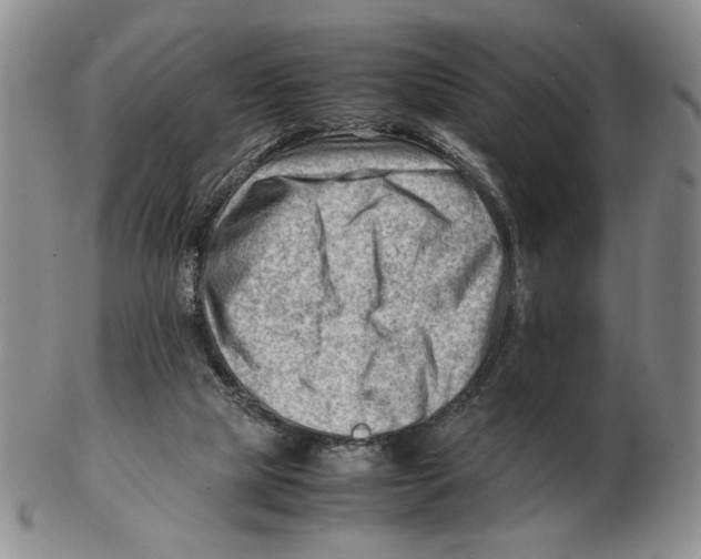 X0000102760065200809151025