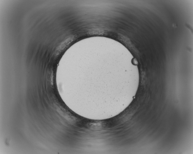 X0000102760068200809151025