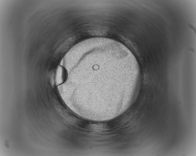X0000102760069200809151025