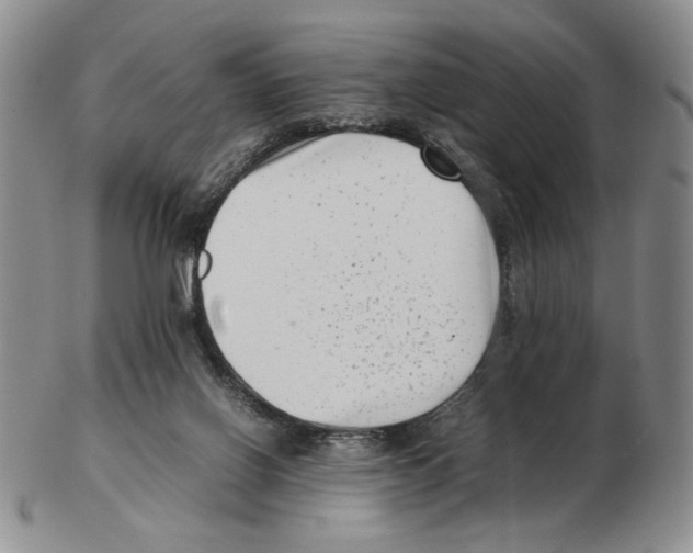X0000102760070200809151025