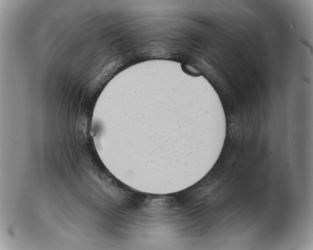 X0000102760072200809151025