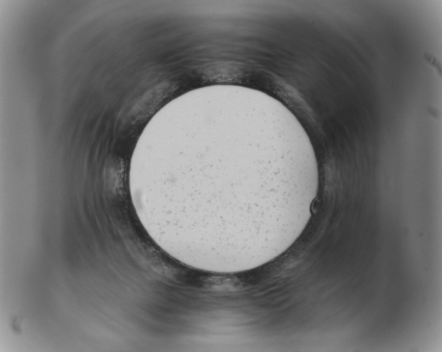 X0000102760073200809151025