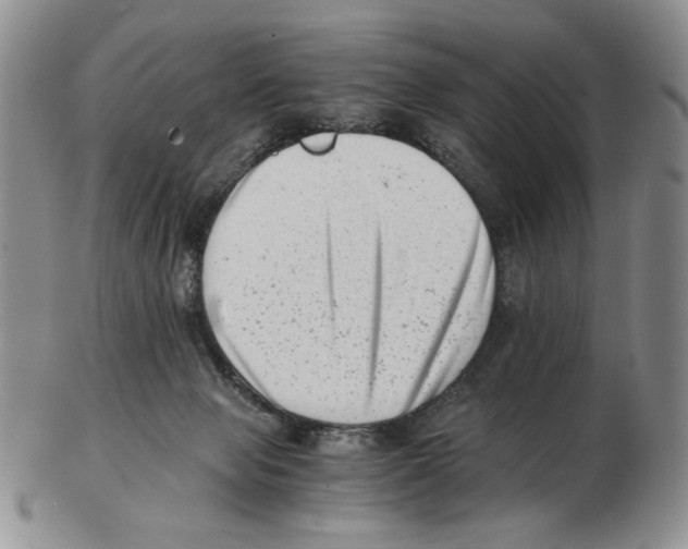 X0000102760077200809151025