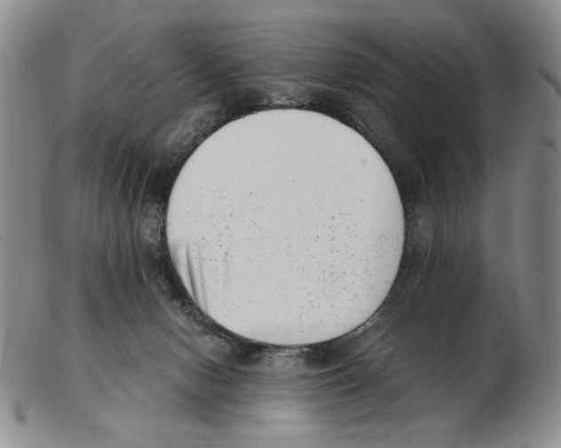 X0000102760078200809151025