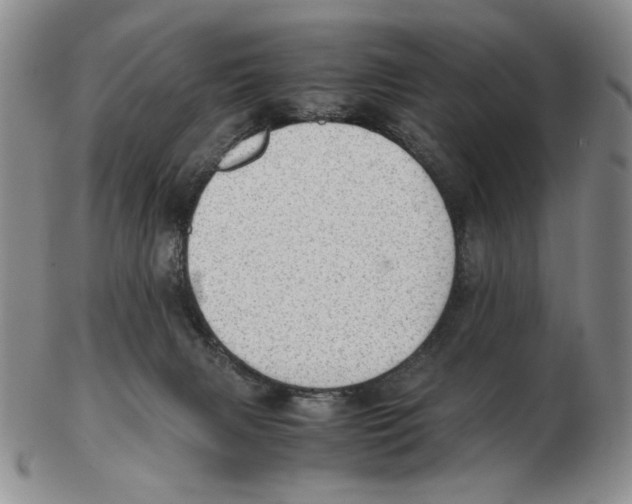 X0000102760079200809151025
