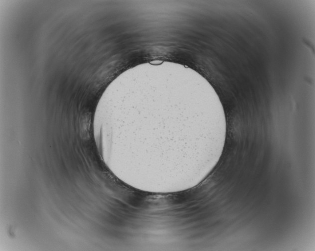 X0000102760082200809151025