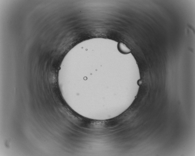X0000102760084200809151025