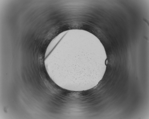 X0000102760086200809151025