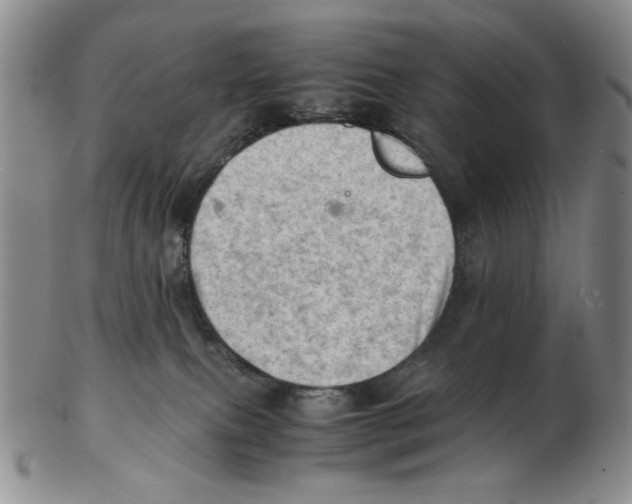 X0000102760087200809151025
