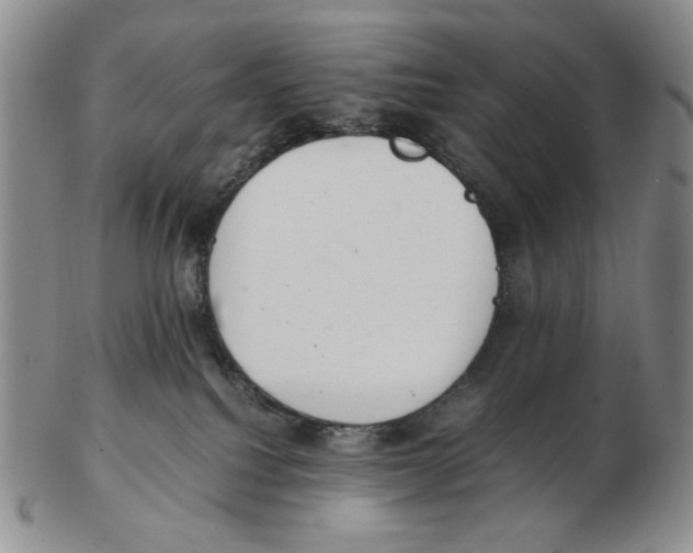 X0000102760088200809151025