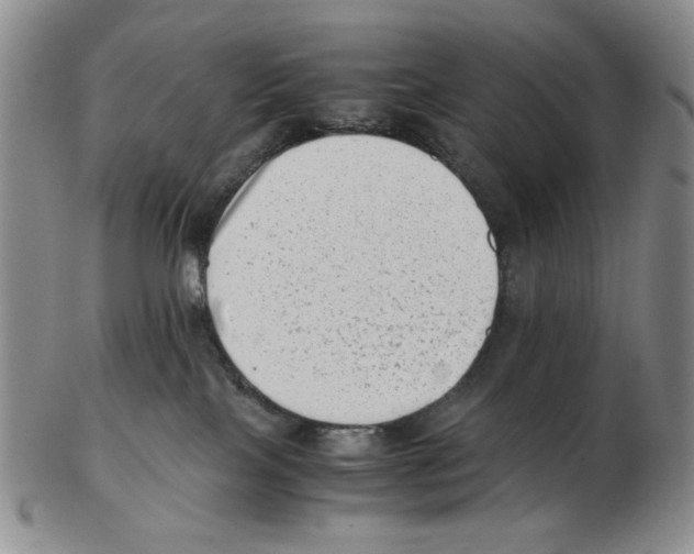 X0000102760089200809151025