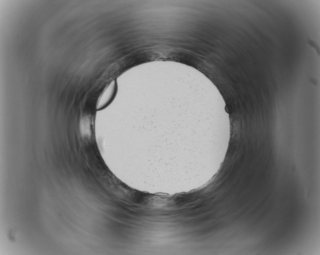 X0000102760094200809151025