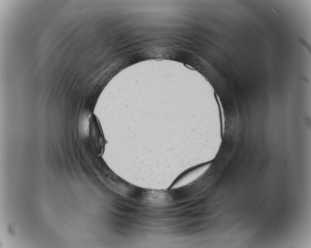 X0000102760095200809151025
