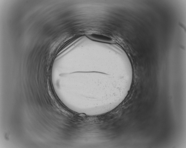 X0000102760097200809151024