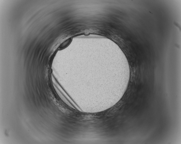 X0000102760098200809151024