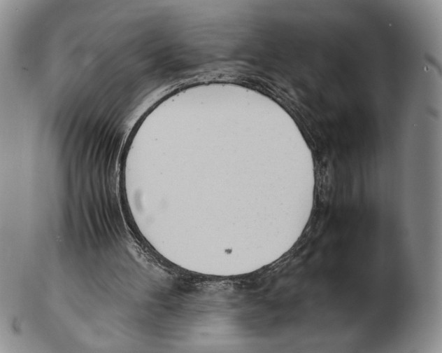 X0000102760100200809151024