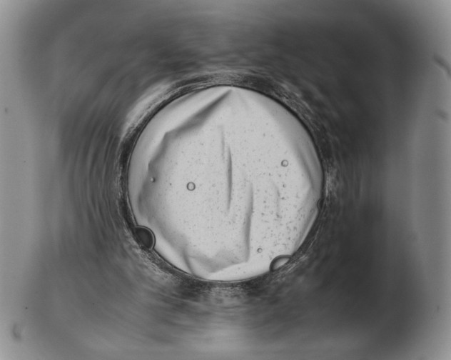 X0000102760101200809151024