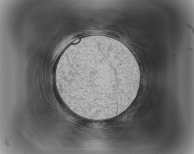 X0000102760103200809151024